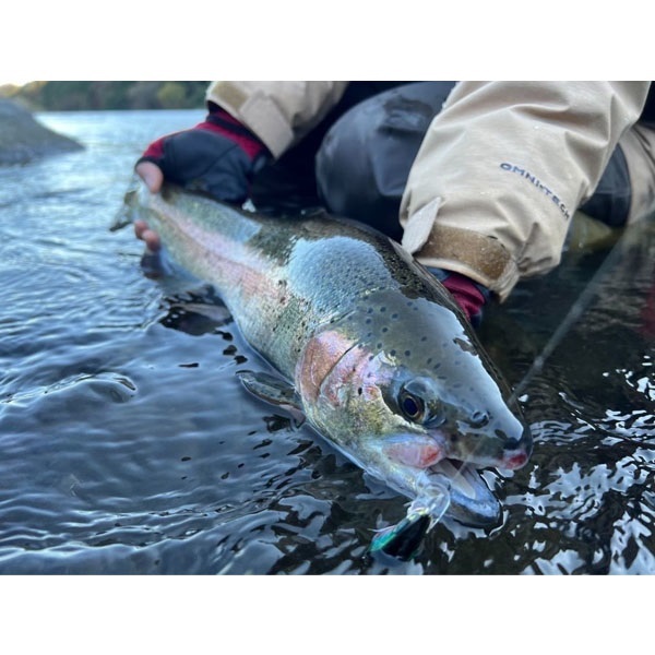 カウントダウン　エリート　CDE35